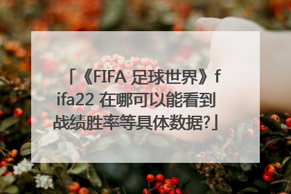 《FIFA 足球世界》fifa22 在哪可以能看到战绩胜率等具体数据?