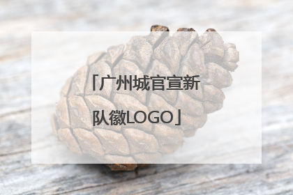 广州城官宣新队徽LOGO