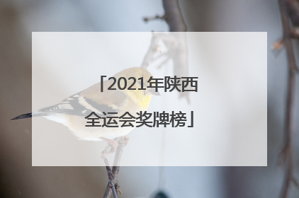 「2021年陕西全运会奖牌榜」2021年陕西全运会奖牌榜杨倩