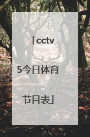 「cctv5今日体育节目表」今天cctv5体育节目表