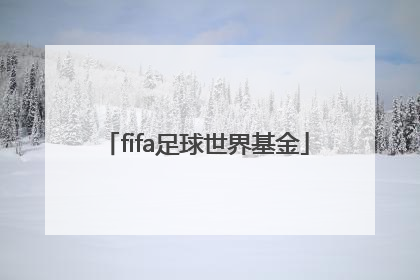 「fifa足球世界基金」fifa足球世界基金返利在哪领