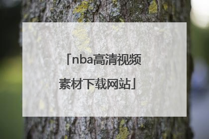 「nba高清视频素材下载网站」nba库里高清视频素材下载